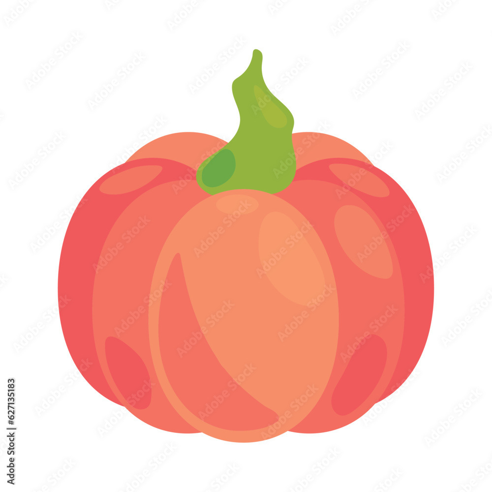 pumpkin vegetable food icon design pumpkin vegetable food icon design