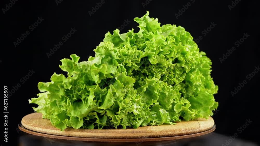 Close up, Texture of Juicy Green Lettuce Leaves on a Rotating Black Background. Slow movement in curly leaves on wooden desk. Copy space. Structure. Focus. Food background. Vegan. Healthy food. Light. Close up, Texture of Juicy Green Lettuce Leaves on a Rotating Black Background. Slow movement in curly leaves on wooden desk. Copy space. Structure. Focus. Food background. Vegan. Healthy food. Light.