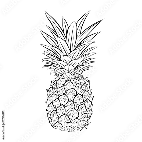 pineapple line art