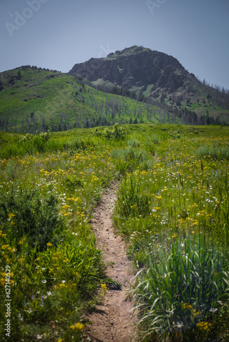фотографія Rugged rocky dark mountain in Ketchum Idaho above green grassy meadow and trail