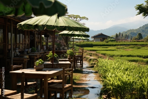 Coffee shop cafe in the middle of green rice fields in Vietnam © sirisakboakaew