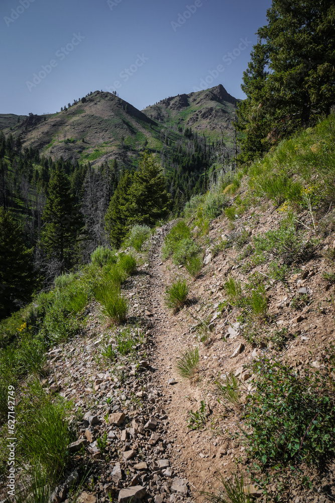 Rocky bike Trail on edge of Rolling green hillsides in Ketchum Idaho in summer