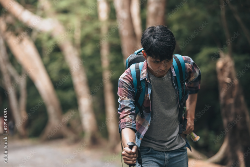 Hikers use trekking pole with backpacks and hold tent bag walking through the forest. hiking and adventure concept. Hikers use trekking pole with backpacks and hold tent bag walking through the forest. hiking and adventure concept.
