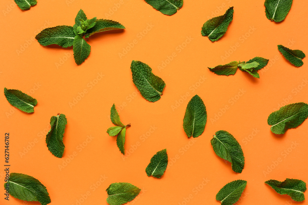 Composition with green mint leaves on color background Composition with green mint leaves on color background