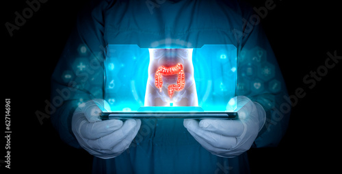 Fototapet Doctor projects the human large intestine on the tablet