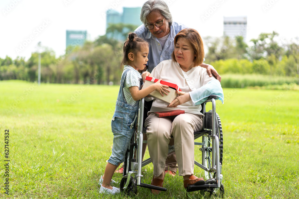 Portrait of happy love asian grandfather with grandmother and asian little cute girl enjoy relax in summer park.Young girl with their laughing grandparents smiling together.Family and togetherness Portrait of happy love asian grandfather with grandmother and asian little cute girl enjoy relax in summer park.Young girl with their laughing grandparents smiling together.Family and togetherness