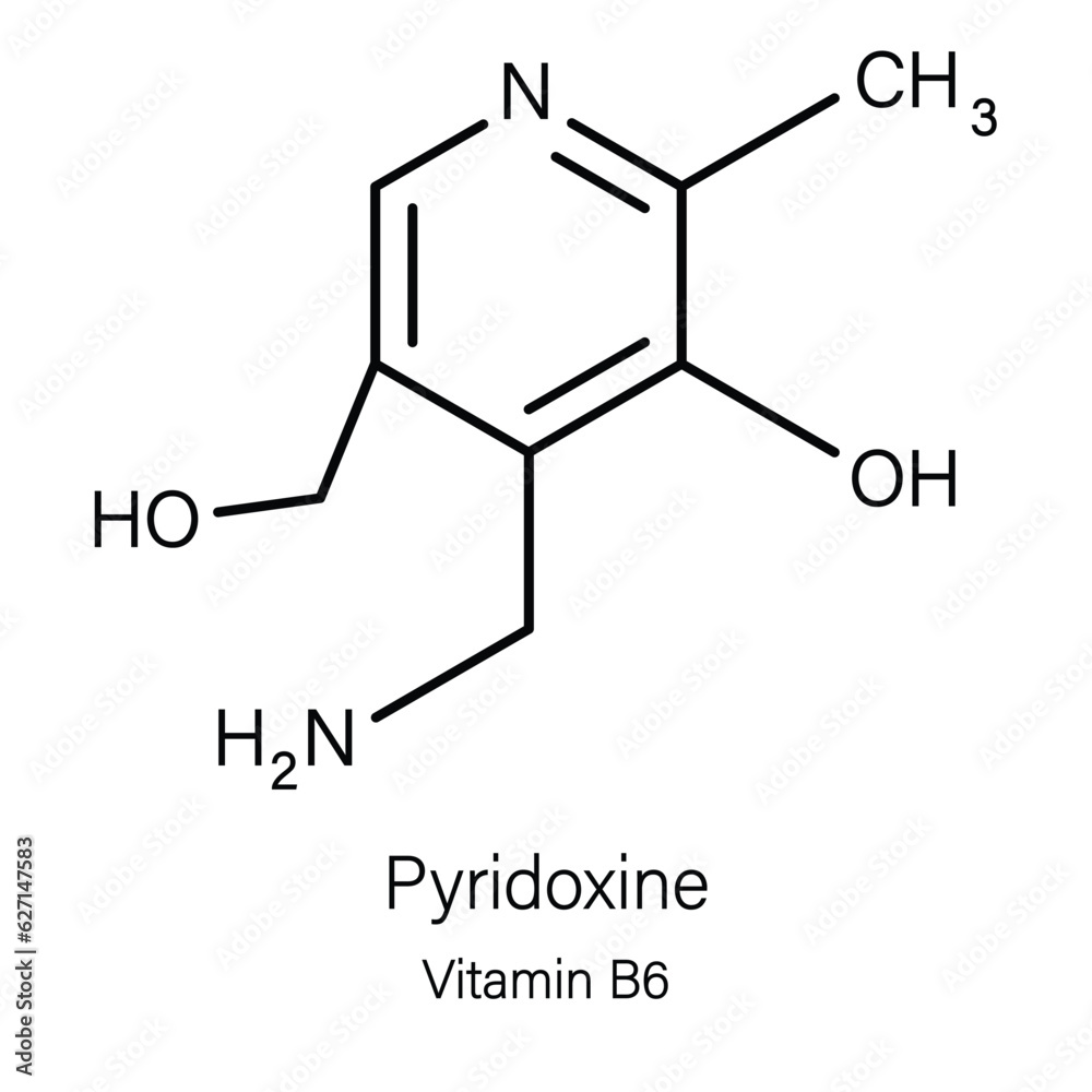 Formula of chemical structure of Vitamin B 6, Vitamin E .Vitamin C