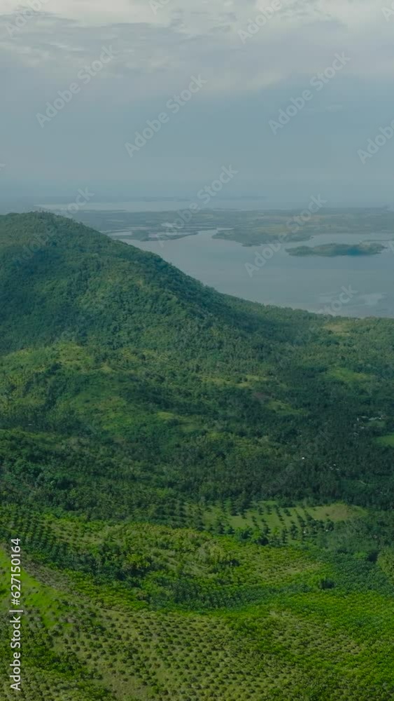 Green forest and jungle in tropical mountain with highway. Mindanao, Philippines. Vertical video. Green forest and jungle in tropical mountain with highway. Mindanao, Philippines. Vertical video.
