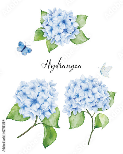 Set of watercolor blue hydrangea flowers bouquets and butterflies