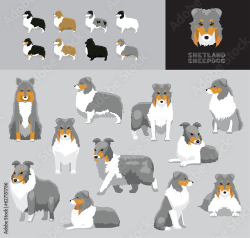 Dog Shetland Sheepdog Blue Coat Cartoon Vector Illustration Color Variation Set

