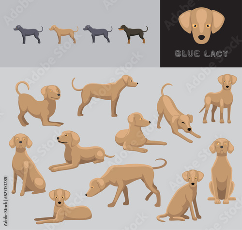 Dog Blue Lacy Cartoon Vector Illustration Color Variation Set Cream Coat 