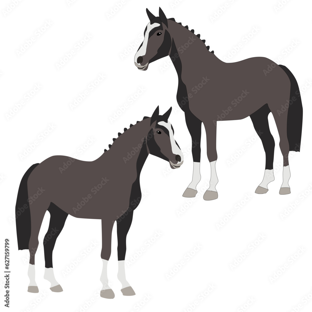 Vector black horse flat with shadows stands isolated on white background Vector black horse flat with shadows stands isolated on white background