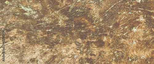 Dry wood texture background, old weathered knotted timber with crack, old grunge dark textured wooden background, the surface of the old brown wood texture.