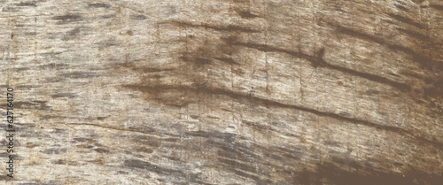 Dry wood texture background, old weathered knotted timber with crack, old grunge dark textured wooden background, the surface of the old brown wood texture.
