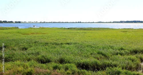 Reed marshes in Zhalong wetland.Heilongjiang Zhalong National Nature Reserve is a rare waterfowl distribution area dominated by cranes and other large waterfowl, and is the largest breeding ground of  photo