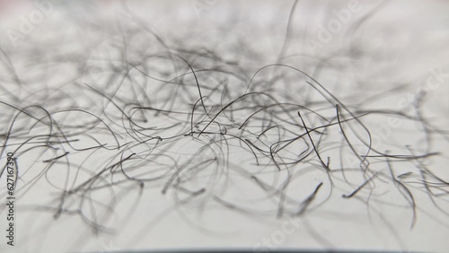 Selective focus of pubic hair isolated on white background. Black pubic hair that is removed manually without using a trimmer. Hair roots attached to the base. Removal of hair with intimate haircut.