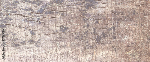 Dry wood texture background, old weathered knotted timber with crack, old grunge dark textured wooden background, the surface of the old brown wood texture.