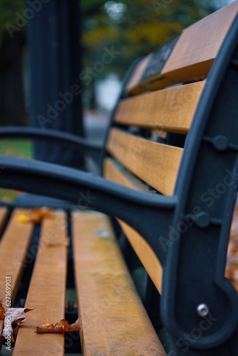 Town bench near South Street - Litchfield, CT