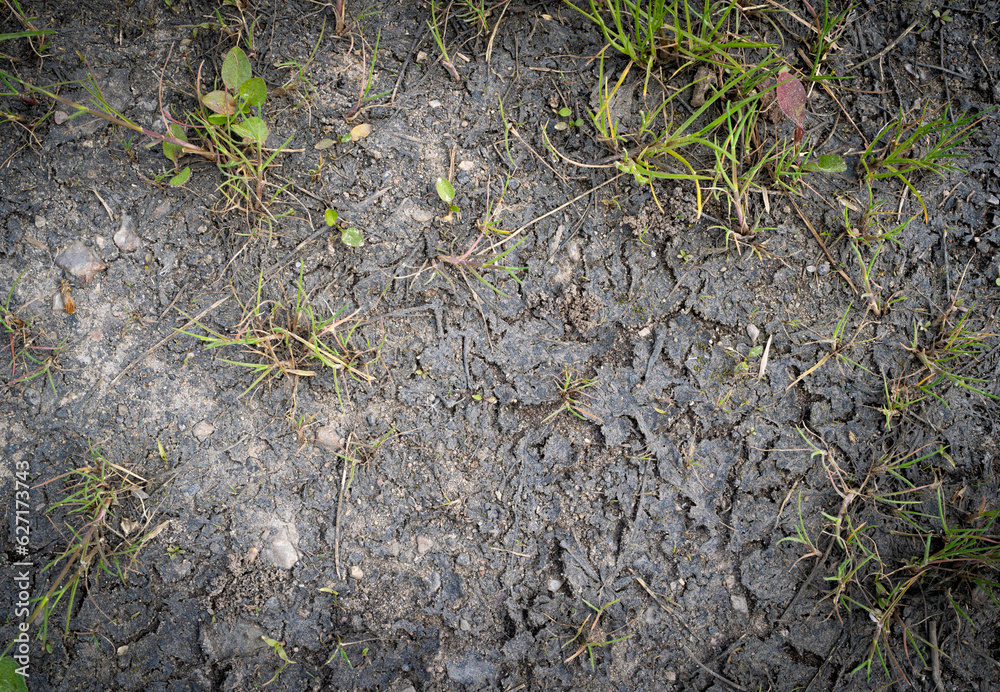 Cracked Dry Earth Texture Background, Global Warming Concept, Broken Clay Soil Texture with Cracks on Surface Cracked Dry Earth Texture Background, Global Warming Concept, Broken Clay Soil Texture with Cracks on Surface
