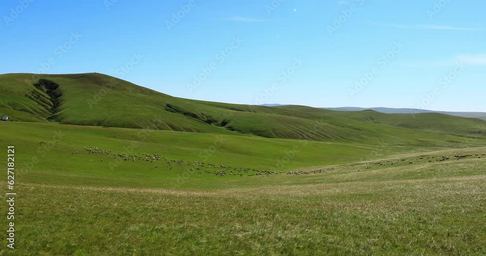 Hulunbuir Grassland, is a world famous natural pasture, is one of the world's four grasslands, known as the world's best grassland. Hulunbuir Grassland, is a world famous natural pasture, is one of the world's four grasslands, known as the world's best grassland.