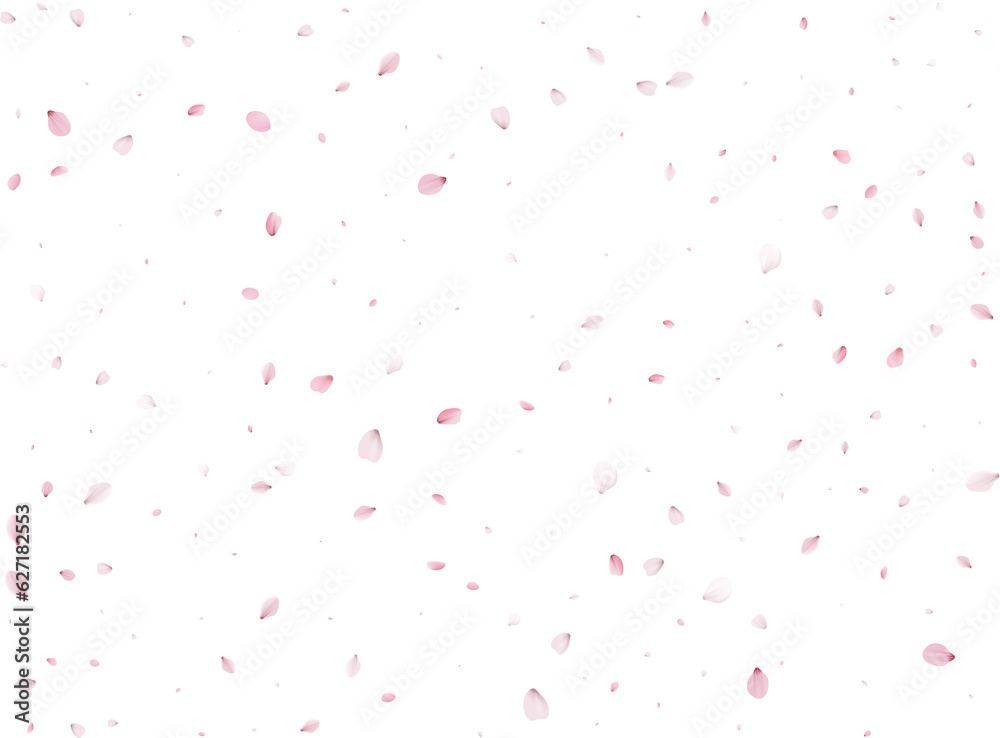 Spring Sakura Background. Spring Sakura Background.