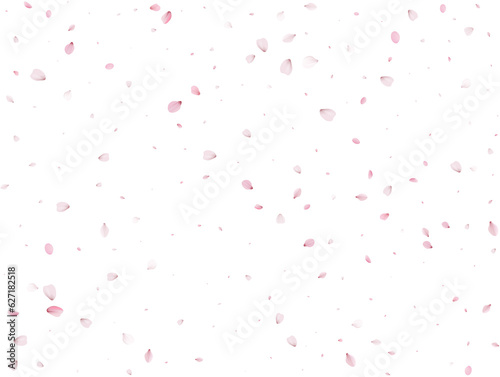 Spring Sakura Background.