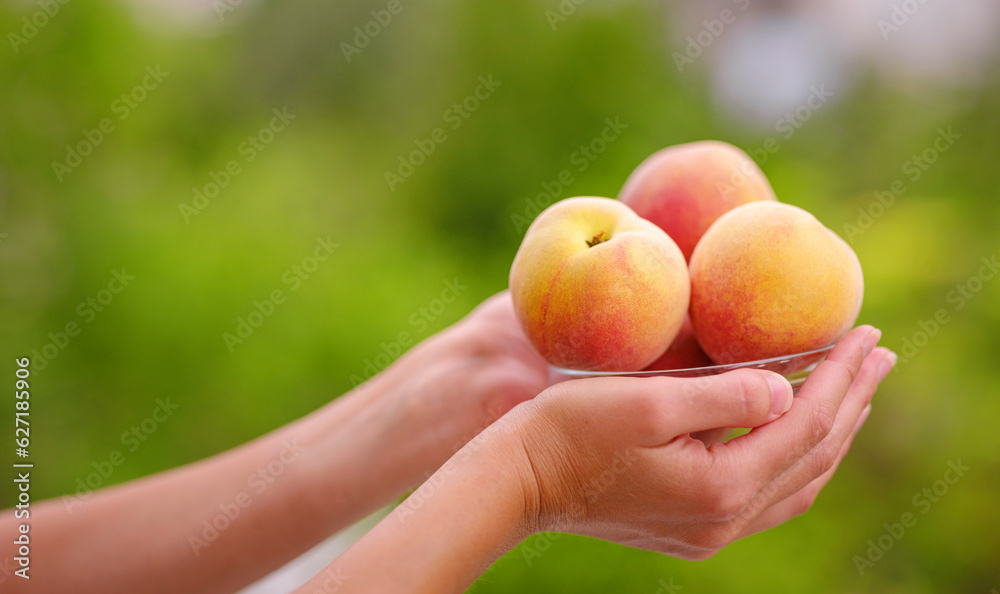woman holding bowl of fresh peaches in her hands while standing in garden woman holding bowl of fresh peaches in her hands while standing in garden