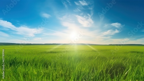Beautiful panoramic natural landscape of a green field wide