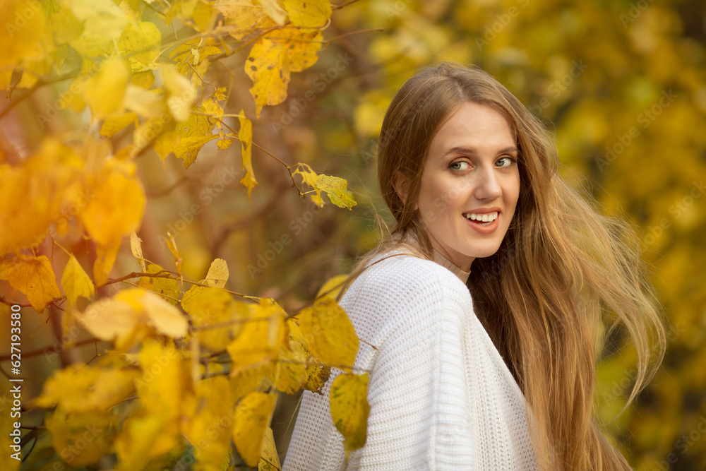 Beautiful young woman with light brown hair in a white sweater on a background of foliage in an autumn park. Portrait of an attractive happy woman among colorful yellow leaves. Fall season. Autumn. Beautiful young woman with light brown hair in a white sweater on a background of foliage in an autumn park. Portrait of an attractive happy woman among colorful yellow leaves. Fall season. Autumn.