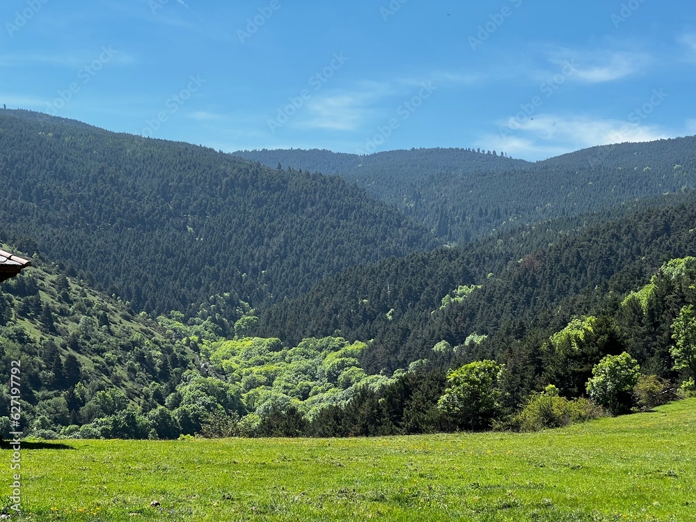 Obraz premium Montaña