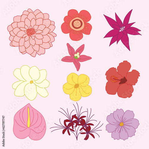Set of Tropical Flower Simple Flat Line Illustration