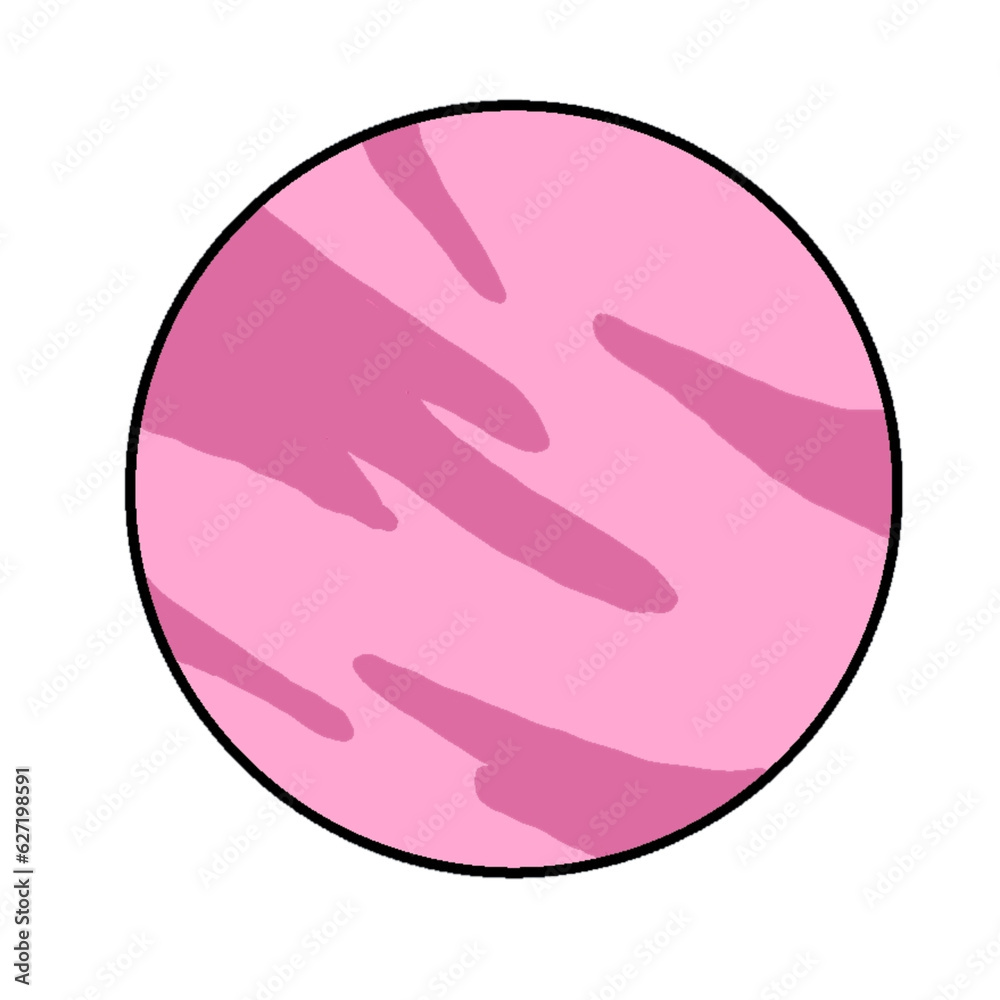 illustration of a pink rose