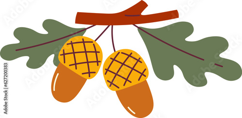 Acorns On Branch