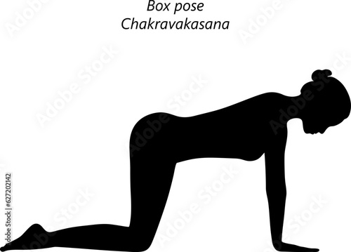 Silhouette of young woman practicing yoga, doing Box pose or Table pose or Ruddy Goose position. Chakravakasana. Arm Leg Support and Neutral. Beginner.  Isolated vector illustration. photo