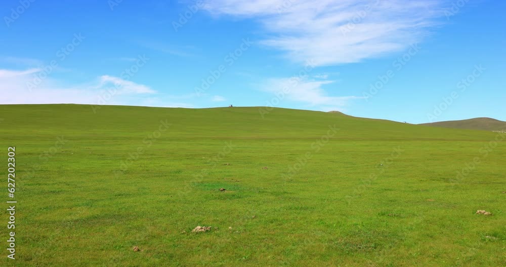 Hulunbuir Grassland, is a world famous natural pasture, is one of the world's four grasslands, known as the world's best grassland. Hulunbuir Grassland, is a world famous natural pasture, is one of the world's four grasslands, known as the world's best grassland.