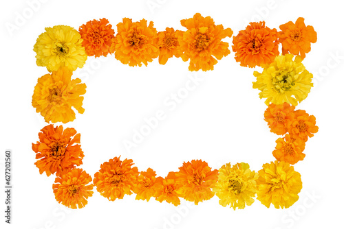 Marigold flowers isolated on a white background ,frame. Card for day of the dead. postcard mockup, Dia de los Muertos. Flat lay, copy space.