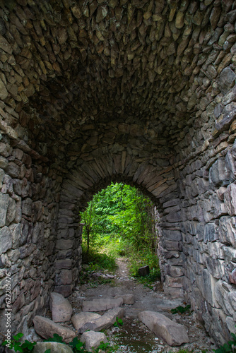 The old tunnel leads to the forest. Tunnel and stone arch