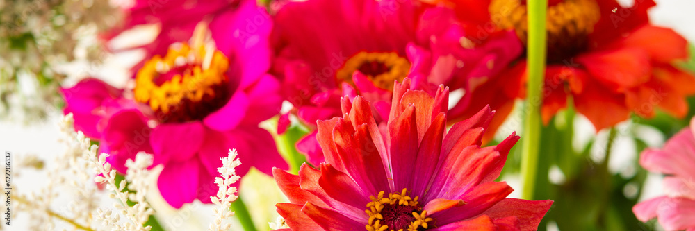 Summer bouquet of colorful Zinnia, onion inflorescences and mint sprigs, bouquet of flowers on the table near the wall, home decoration with flowers banner