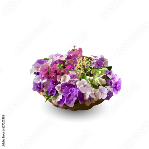 Colorful flowers (pink, purple and white color) in wooden basket isolated on white background, bougainvillea, brunfelsia, exotic, wildflowers.