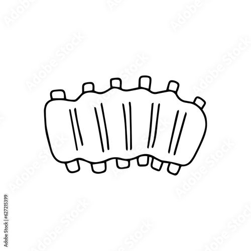 hand drawn vector illustration of grilled ribs