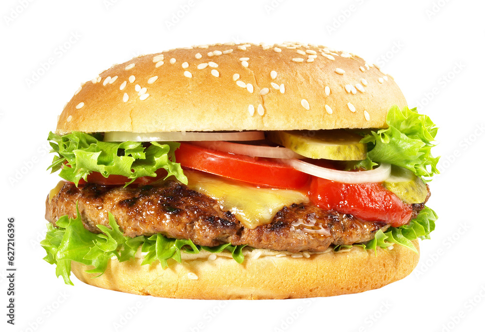 Grilled Cheeseburger Sandwich - Hamburger with Cheese on transparent PNG Background Grilled Cheeseburger Sandwich - Hamburger with Cheese on transparent PNG Background