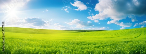 Natural panoramic landscape with spring meadow with curved horizon line. Field bright juicy green grass against a blue sky with clouds and sun flare © Eli Berr