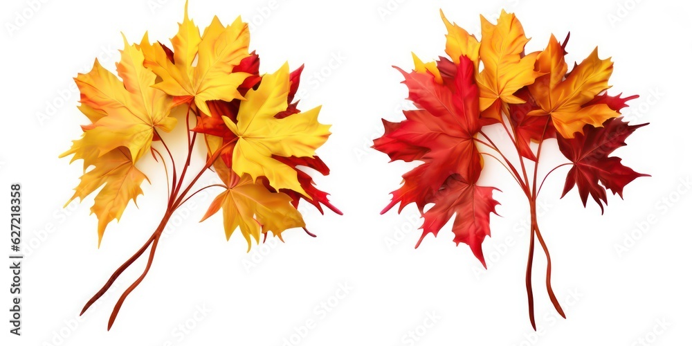 Set of two creative autumn bouquets of natural maple leaves of yellow, orange, red, burgundy flowers isolated on white background Set of two creative autumn bouquets of natural maple leaves of yellow, orange, red, burgundy flowers isolated on white background