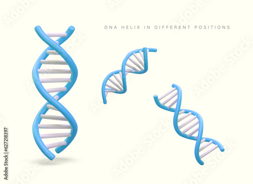 Realistic DNA helix. Color section of long code, view from different sides. Dynamics, development, reproduction. Illustration for educational, scientific sites, applications