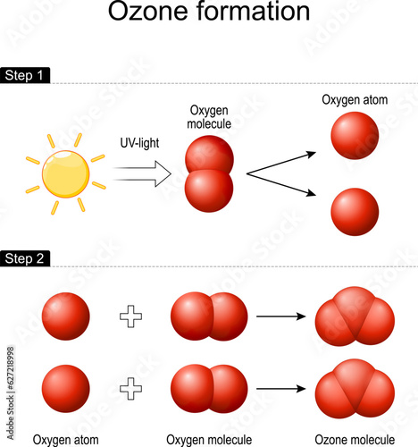 Ozone formation in Earth's atmosphere.