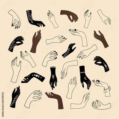 Female mystical hands in a minimalistic linear style; vector illustration with hand gestures
