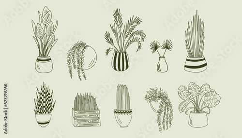 Set of houseplants in pots, home garden, hand drawn home ornamental plants vector illustration; isolated potted flowers clipart