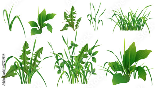 Grass Green Plants Realistic Set