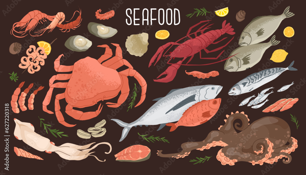 Set of seafood products. Fresh fish, crab, lobster and shrimps. Concept for fish farms and food markets. Food rich in protein and iodine. Vector illustration isolated on white background.