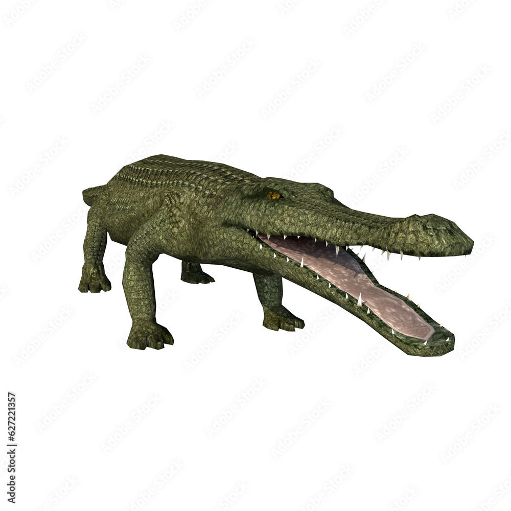 Obraz premium crocodile